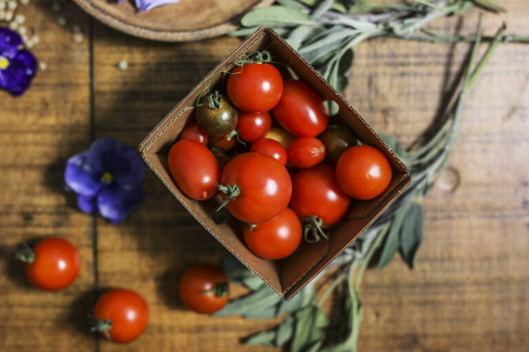 How to Grow Tomatoes in Containers